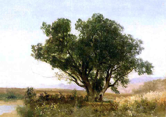  John Frederick Kensett The Front Range, Colorado - Art Print