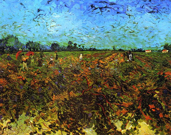  Vincent Van Gogh The Green Vineyard - Art Print