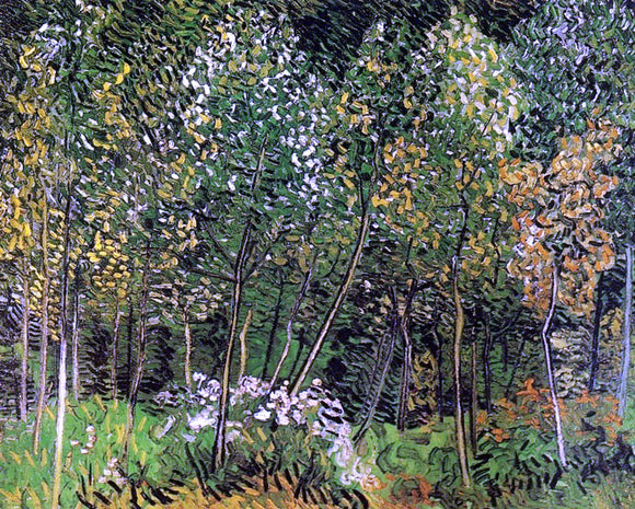  Vincent Van Gogh The Grove - Art Print