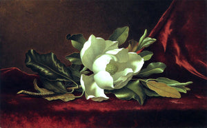  Martin Johnson Heade The Magnolia Blossom - Art Print