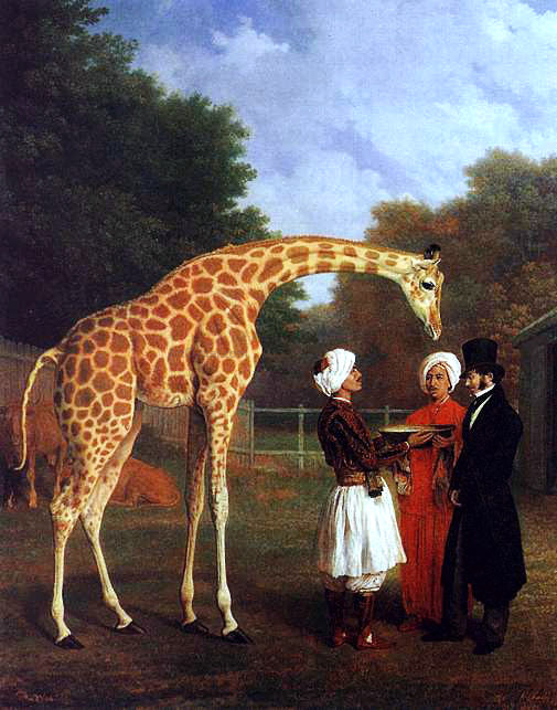  Jacques-Laurent Agasse The Nubian Giraffe - Art Print