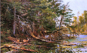  Arthur Fitzwilliam Tait The Outlet of St. Regis Lake - Art Print
