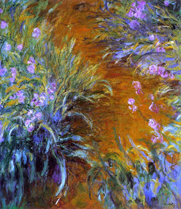  Claude Oscar Monet The Path through the Irises - Art Print