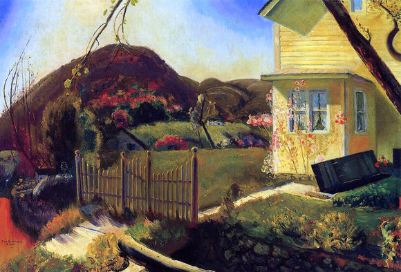  George Wesley Bellows A Picket Fence - Art Print