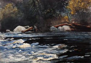  Winslow Homer The Rapids, Husdon River, Adirondacks - Art Print
