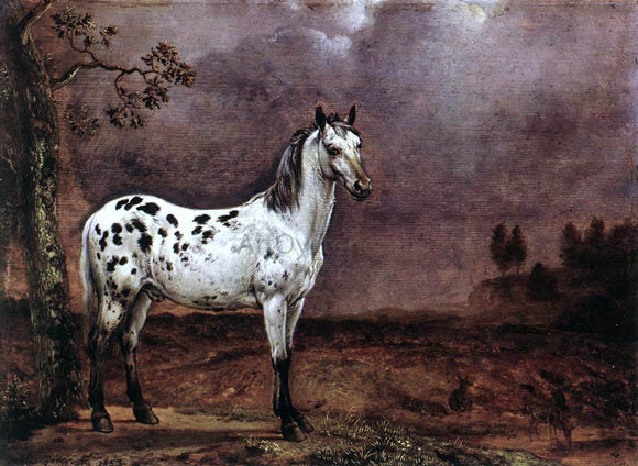  Paulus Potter A Spotted Horse - Art Print