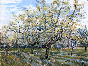  Vincent Van Gogh The White Orchard - Art Print
