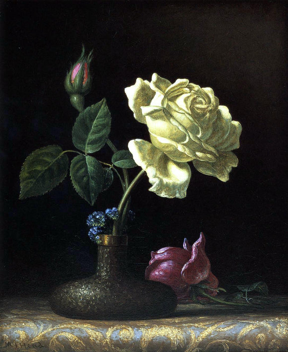  Martin Johnson Heade The White Rose - Art Print