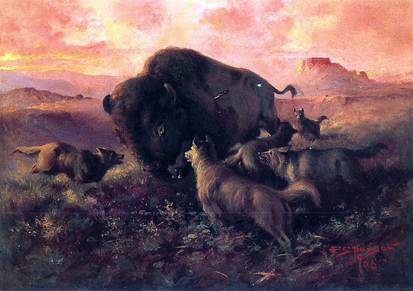  Frank Tenney Johnson The Wounded Buffalo - Art Print