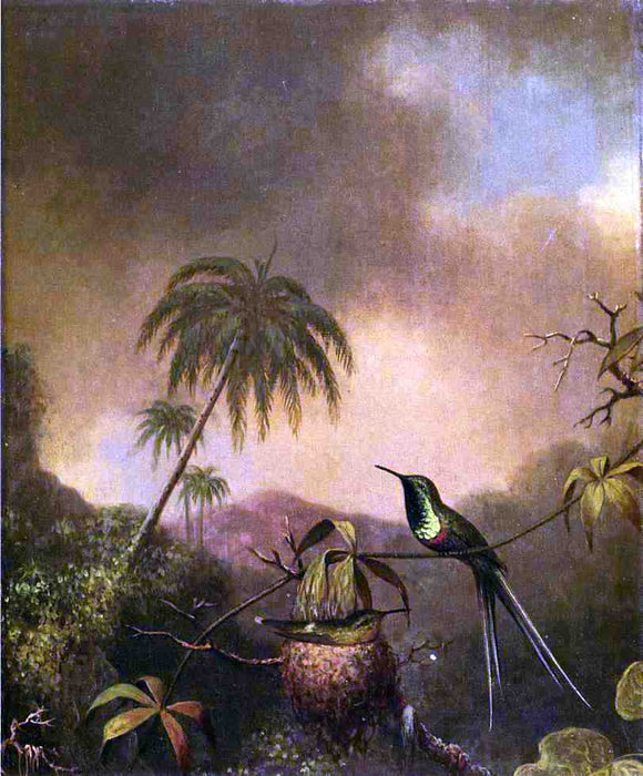  Martin Johnson Heade Thorn-Tail, Brazil - Art Print