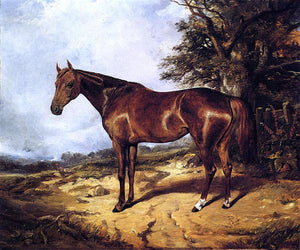  Arthur Fitzwilliam Tait Thoroughbred - Art Print