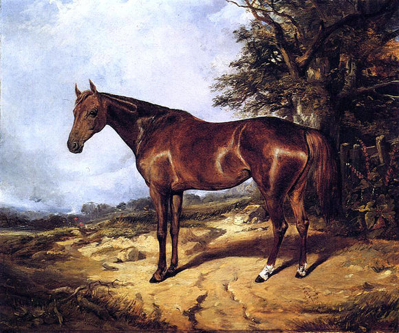  Arthur Fitzwilliam Tait Thoroughbred - Art Print