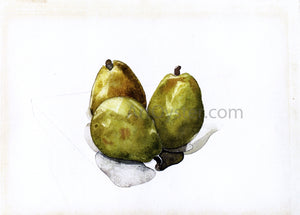  Charles Demuth Three Pears - Art Print