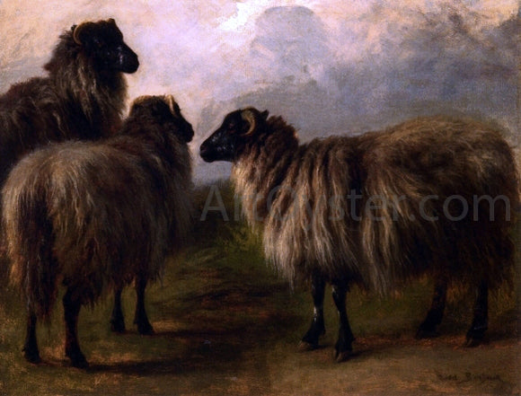  Rosa Bonheur Three Wooly Sheep - Art Print