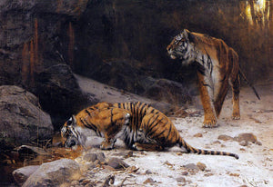  Wilhelm Kuhnert Tigers at a Drinking Pool - Art Print