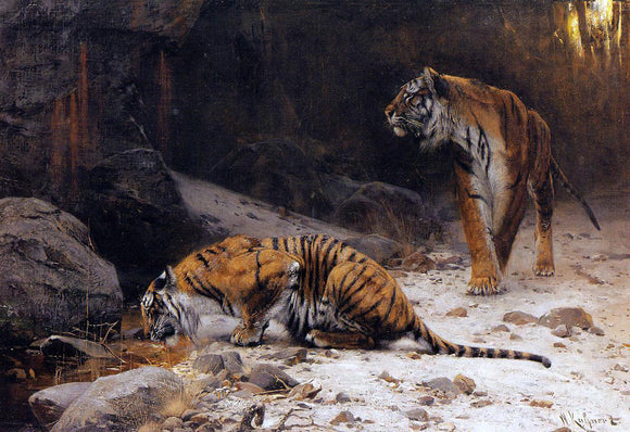 Wilhelm Kuhnert Tigers at a Drinking Pool - Art Print