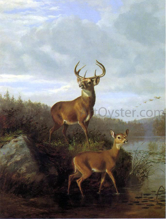  Hyppolite Sebron Deer - Art Print