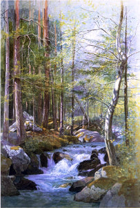  William Stanley Haseltine Torrent in Wood behind Mill Dam, Vahrn near Brixen, Tyrol - Art Print
