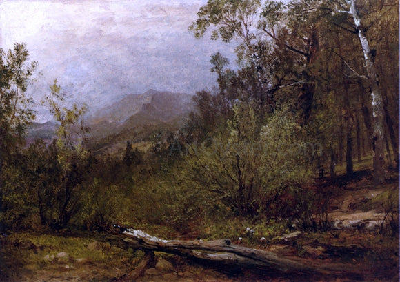  John Frederick Kensett Trotter's Spring, Colorado - Art Print
