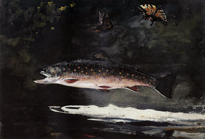  Winslow Homer Trout Breaking - Art Print