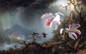  Martin Johnson Heade Two Fighting Hummingbirds with Two Orchids - Art Print