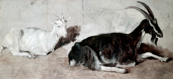  Jacques-Laurent Agasse Two Goats - Art Print