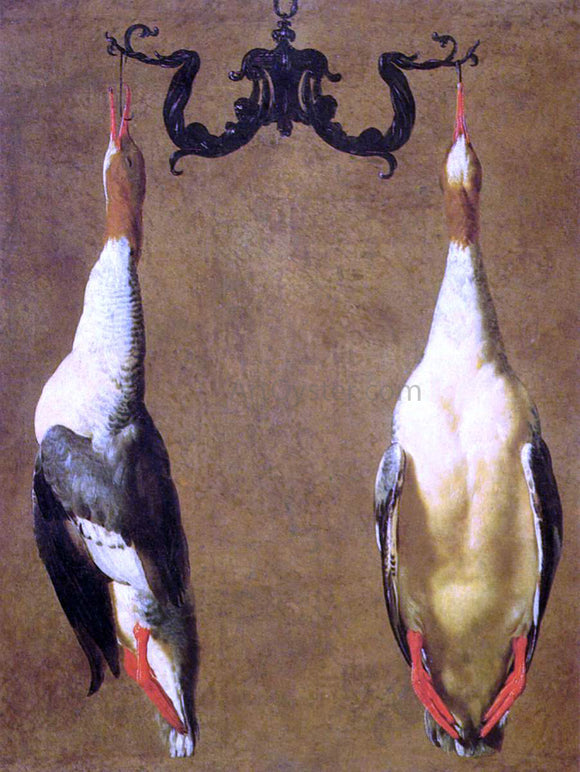  Cesare Dandini Two Hanged Teals - Art Print