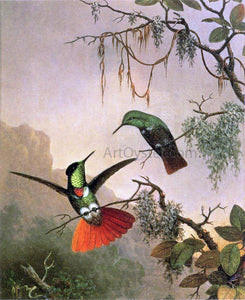  Martin Johnson Heade Two Hooded Visorbearer Hummingbirds - Art Print