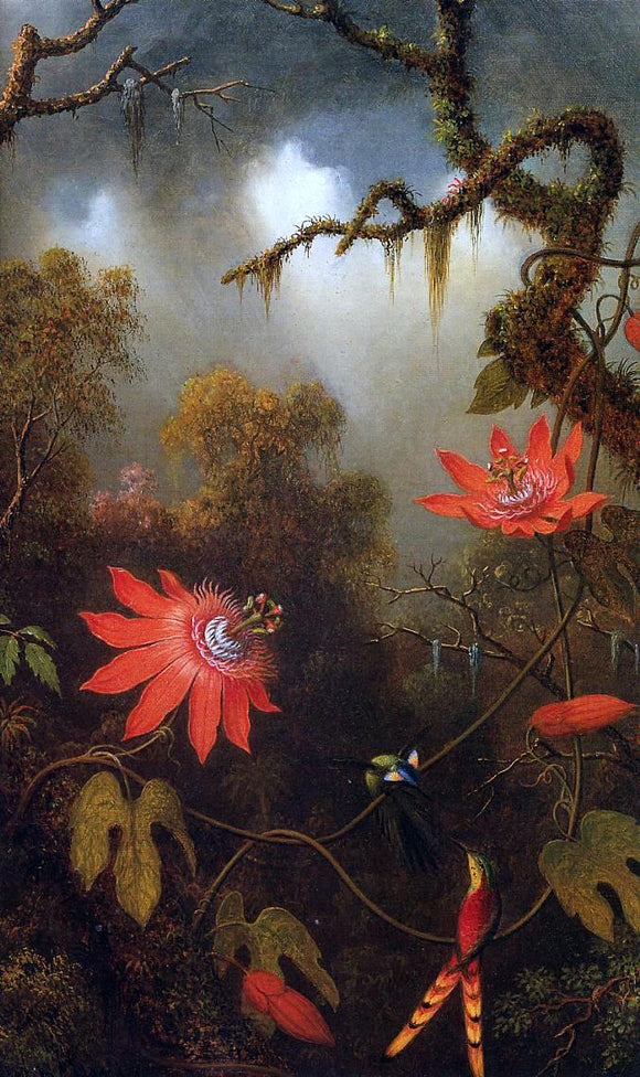  Martin Johnson Heade Two Hummingbirds Perched on Passion Flower Vines - Art Print