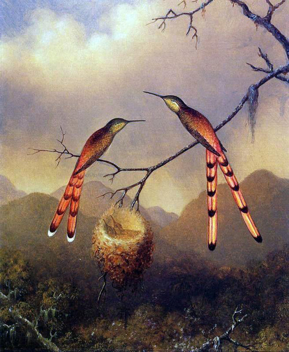  Martin Johnson Heade Two Hummingbirds with Their Young - Art Print