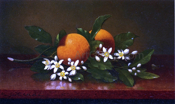  Martin Johnson Heade Two Oranges with Orange Blossoms - Art Print