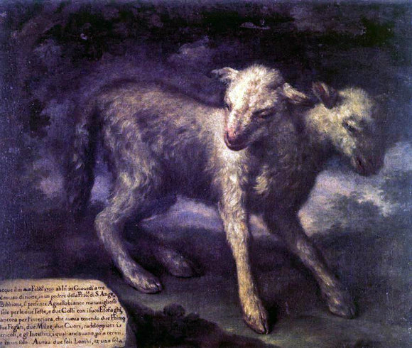  Bartolomeo Bimbi Two-Headed Lamb - Art Print