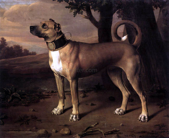  Johann Christof Merck Ulmer Dogge - Art Print