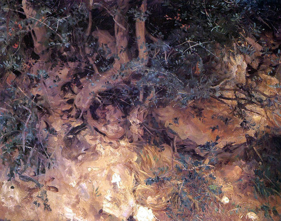  John Singer Sargent Valdemosa, Majorca: Thistles and Herbage on a Hillside - Art Print