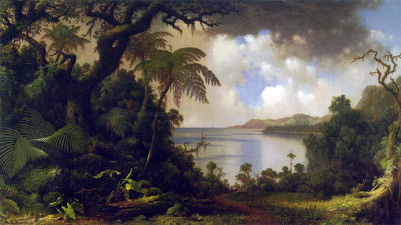  Martin Johnson Heade View from Fern Tree Walk, Jamaica - Art Print