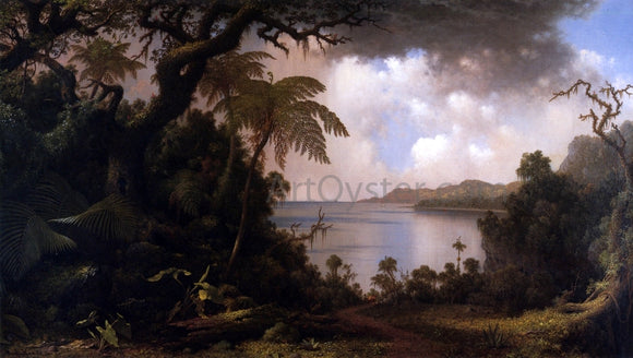  Martin Johnson Heade View from Fern-Tree Walk, Jamaica - Art Print
