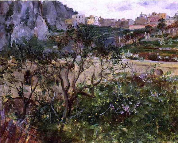  Louis Ritter View of Capri - Art Print