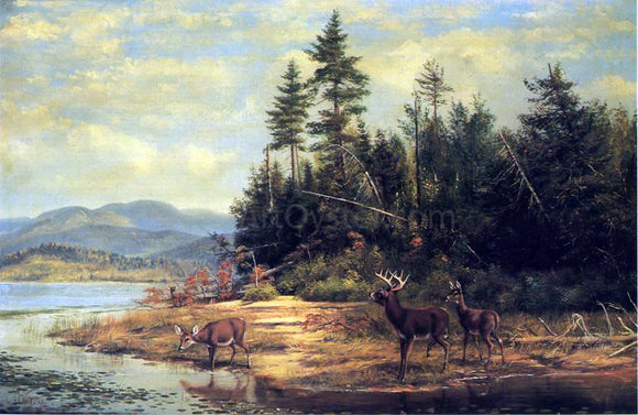  Arthur Fitzwilliam Tait View on Long Lake - Art Print