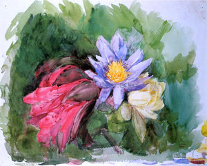  John La Farge Water Lilies and Hibiscus - Art Print