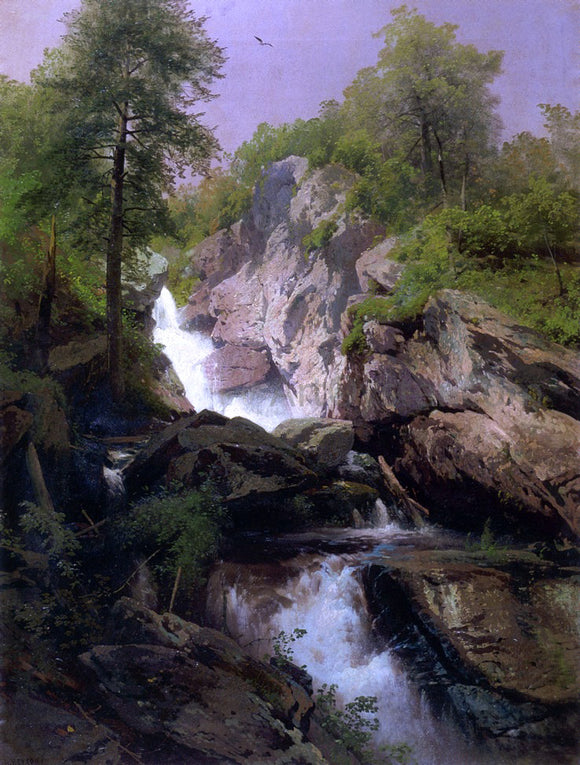  Herman Herzog Waterfall - Art Print