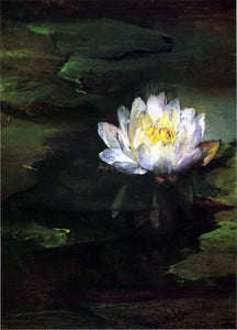  John La Farge Water-Lily, Study from Nature - Art Print