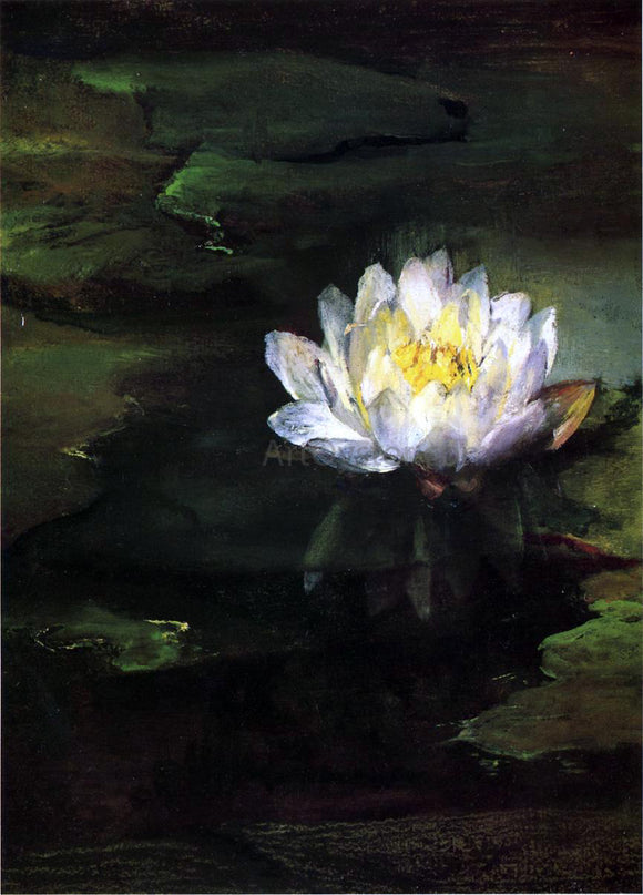  John La Farge Water-Lily, Study from Nature - Art Print