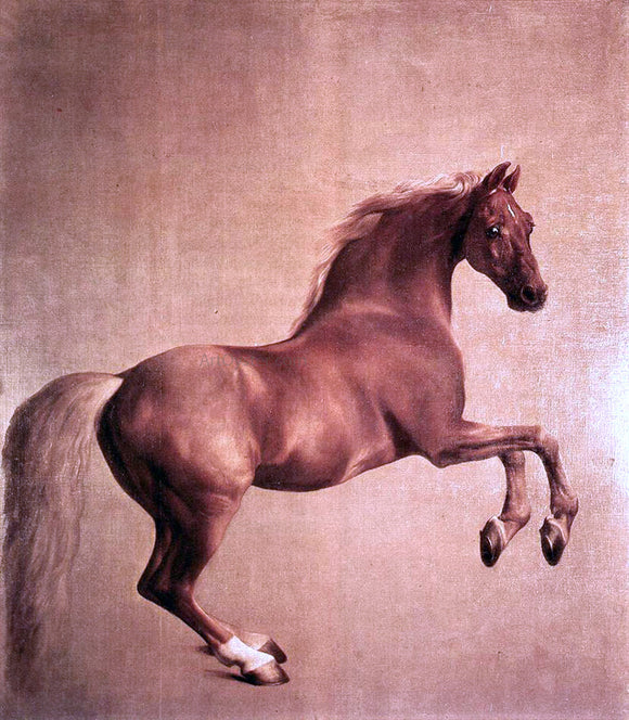  George Stubbs Whistlejacket - Art Print