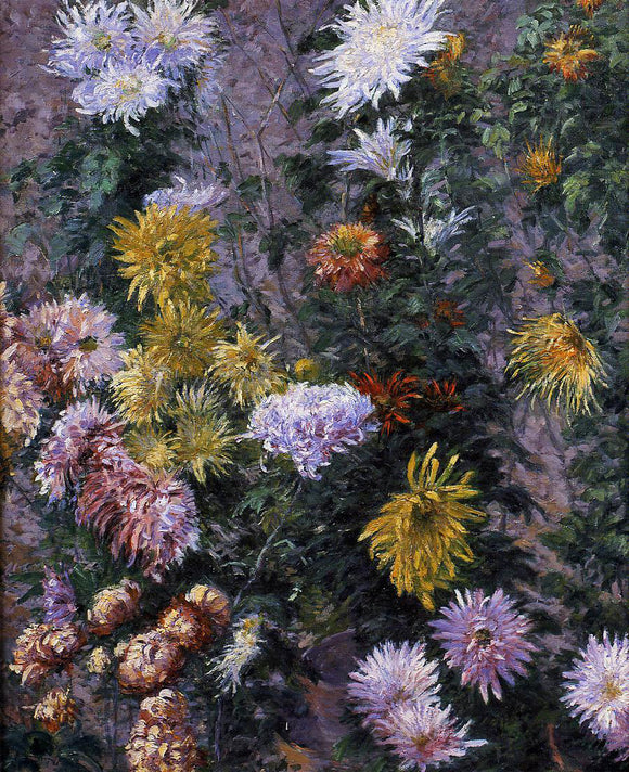  Gustave Caillebotte White and Yellow Chrysanthemums, Garden at Petit Gennevilliers - Art Print