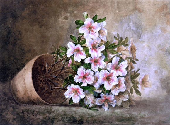  Raoul Paul Maucherat De Longpre White Azaleas in a Flower Pot - Art Print