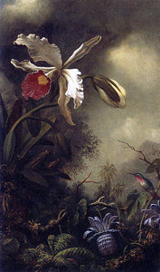  Martin Johnson Heade White Orchid and Hummingbird - Art Print