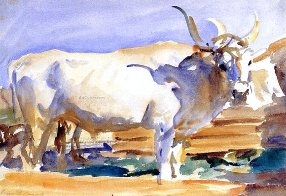  John Singer Sargent A White Ox at Siena - Art Print