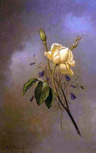  Martin Johnson Heade White Rose against a Cloudy Sky - Art Print