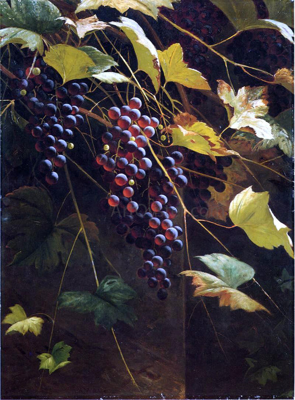  Andrew H. Way Wild Grapes - Art Print