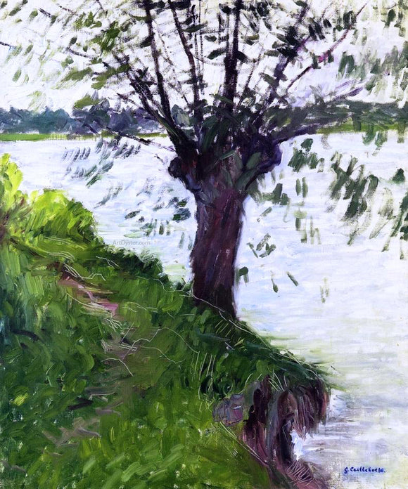  Gustave Caillebotte Willow on the Banks of the Seine - Art Print